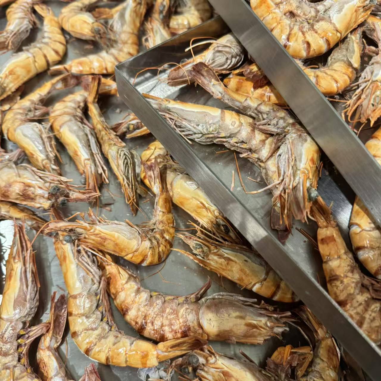 Freeze-Dried Black Tiger Prawns