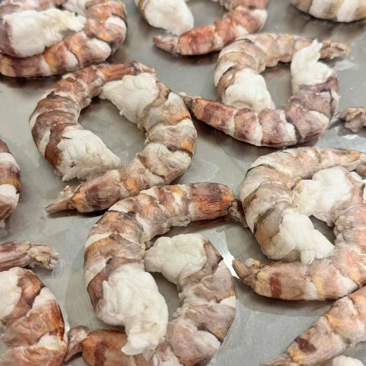 Freeze-Dried Black Tiger Prawns